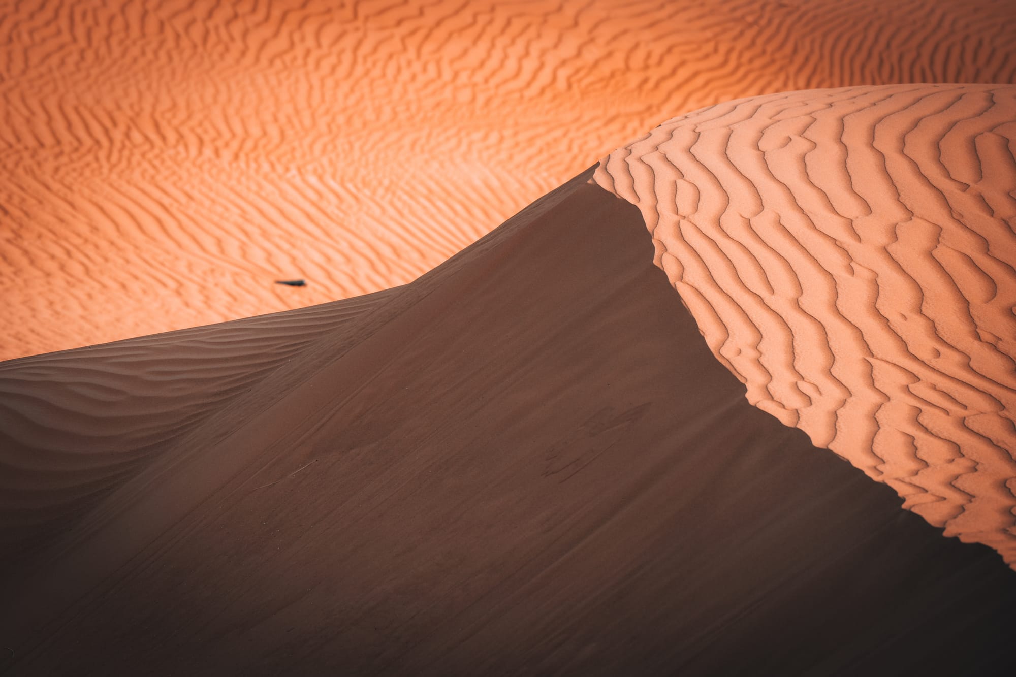 Hey !  My name is André